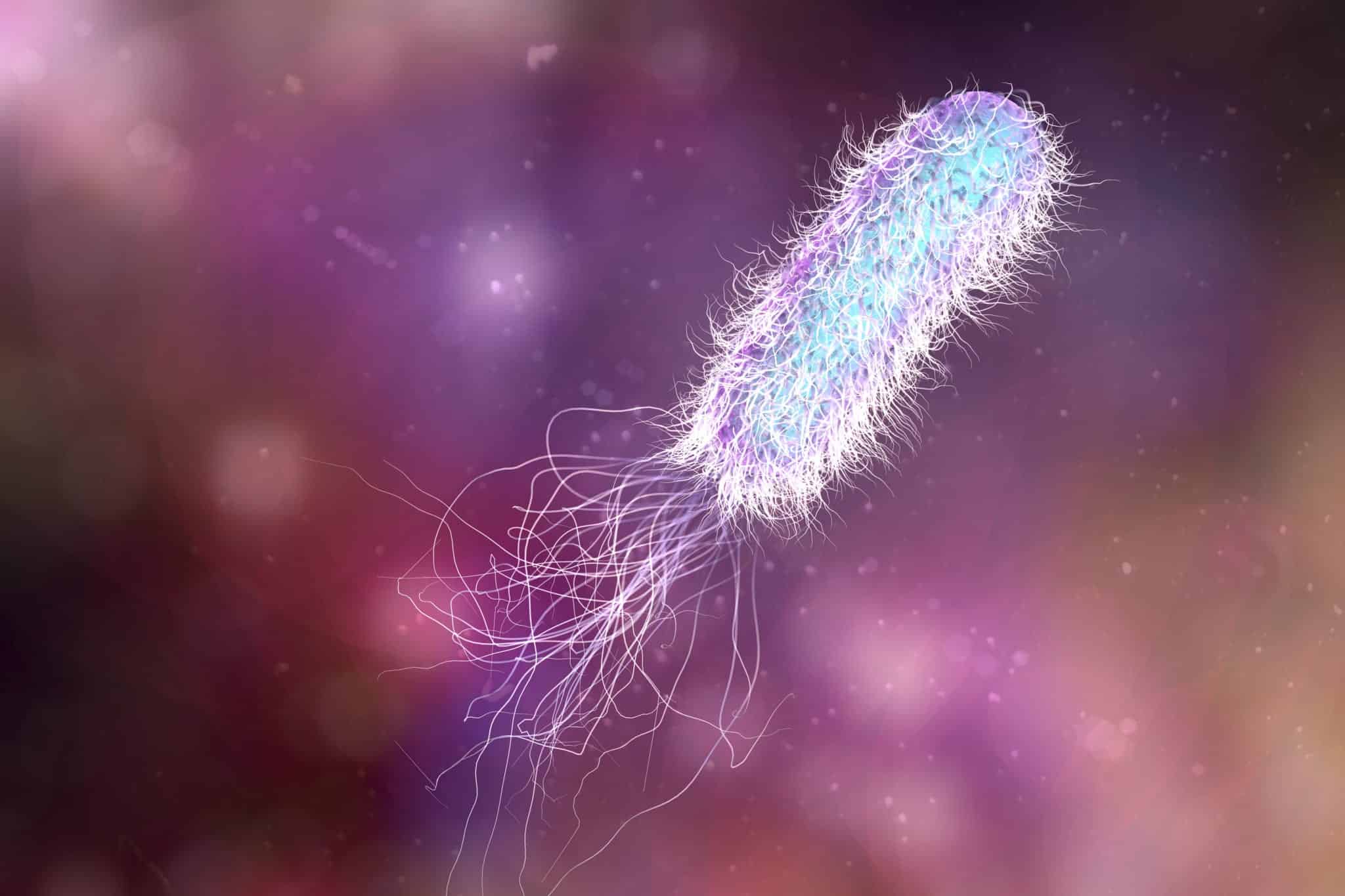 multi drug resistant organisms