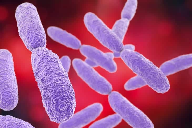 Superbugs